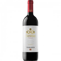 Small bottle Of Altos Ibéricos Red Wine 37,5CL