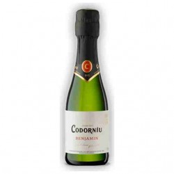 Small bottle Cava Codorniu Benjamin Seco