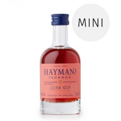 Mini bottle Gin Haymans 1820