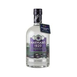 Mini bottle Gin Haymans 1820